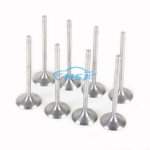 Kit de válvula de admisión apto para BMW 120i 320i X1 Z4 N46 11341440304 - Imagen 1 de 12