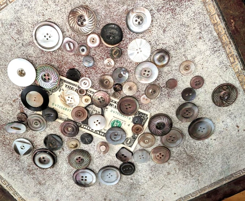 Gorgeuos 60+ Piece Lot Victorian Mother Of Pearl / Shell Button Collection Cover