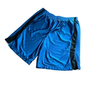 Rare Vintage Champion C9 Heavy Basketball Shorts Dazzle Blue White XL - Picture 1 of 6