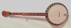 RARE Deering Predecessor to the Boston Banjo/Intermediate & H/S Case 1978-1990 - Picture 1 of 23