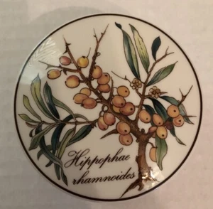 Villeroy & Boch Botanica Hippophae rhannoides Porcelain Made In Luxembourg - Picture 1 of 4