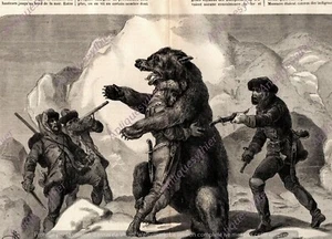 NORVEGE ALPES SCANDINAVE SCANDES CHASSE OURS BEAR HUNT NORWAY PRINT 3 PAGE 1888 - Picture 1 of 1