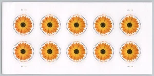 2022 USA #5680 Global Forever Rate - African Daisy - Sheet Of 10 Mint - Picture 1 of 1