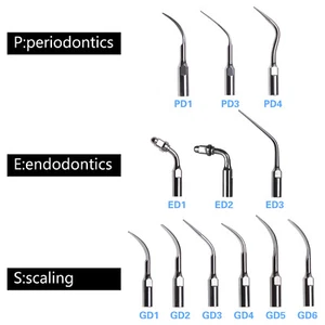 Escalador ultrasónico dental escala endo punta de periodo ajuste SATELEC DTE G P E 12 tipos - Imagen 1 de 14