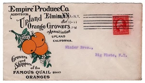 1911 Elmira NY Empire Produce Upland Orange Growers Quail Brand Advertising - Picture 1 of 2