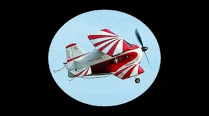 "Piani in scala RC 1/4 Ken Willard STITS SKY BABY Wingspan 21,5" - Foto 1 di 4