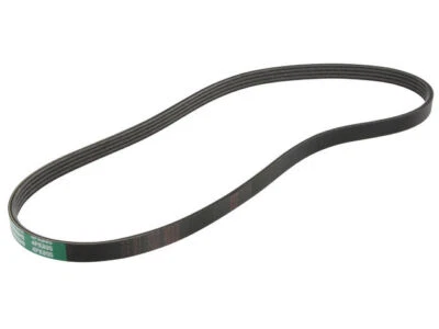 Para 1996-2000 Plymouth Breeze Multi Rib Cinturón Dirección Asistida 64738BPSS 1997 1998 Foto 1 de 2