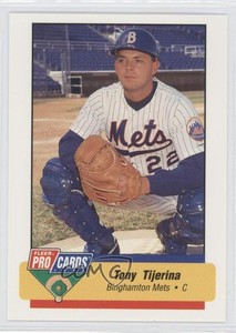1994 Fleer ProCards Minor League Tony Tijerina #707