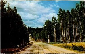 Postkarte Kaibab National Forest Arizona - Bild 1 von 2