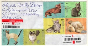 ARGENTINA,, 2018, LOCAL REGISTERED COVER W/CATS STAMPS - Picture 1 of 2