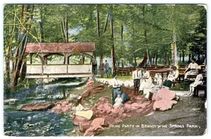FIESTA DE PICNIC 1913 en postal de Brandywine Springs Park Delaware - Imagen 1 de 2