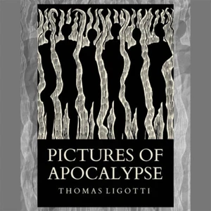 Thomas Ligotti - Pictures Of Apocalypse Book Softcover Chiroptera Press New - Foto 1 di 6