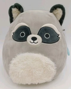 Squishmallows Galci Waschbär Kellytoy Plüschtier 8 Zoll Squishy Stofftier - Bild 1 von 9