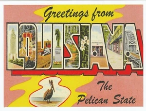 *Louisiana Postcard-"...Greetings From Louisiana"...-The Pelican State- {*TW-2} - Picture 1 of 2