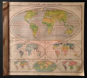 FISICA DEL MARE, CLIMA, VEGETAZIONE, FAUNA (Pennesi, Almagià - Paravia - 1937) - Picture 1 of 1