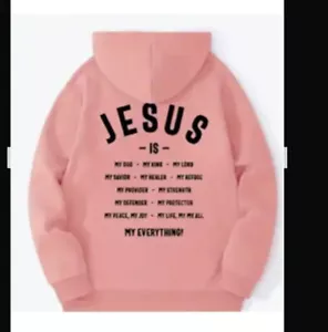 Pink Hoodie Lg Jesus Is Lover Savior Church Religious Prayer Bible Verse Faith - Picture 1 of 3