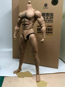 Worldbox AT027 Duradero Cuerpo Rasgado Figura Masculina Ajuste Hot Toys Phicen Head 1/6 - Imagen 1 de 10