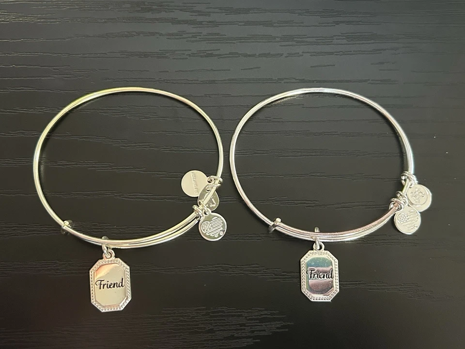 Alex and Ani Conjunto de Pulseras Brazalete Amistad Lote de 2 Foto 1 de 4