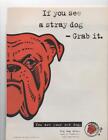 1994 RED DOG BEER PRINT AD "IF YOU SEE A STRAY DOG-GRAB IT" YOU ARE YOUR OWN DOG