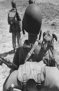 WW2 Picture Photo US Marine carries his dog during the Battle of Kwajalein 0890 - Picture 1 of 1