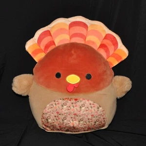 Squishmallows Gobrianna El Pavo 10" Acción de Gracias Navidad Cosecha Escuadrón Otoño - Imagen 1 de 6