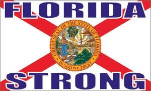 Florida Strong Bumper sticker decal Flag Support Graphic - Bild 1 von 1