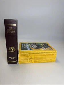 Lot Of 11 1990s National Geographic Magazine Issues W/ Jan-June 1994 Slipcase - Picture 1 of 13