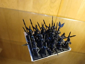 Hochelfen Warhammer Aos Speerträger Ulthuan Fantasy Champion Old World Krieger - Bild 1 von 3