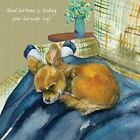 Chihuahua Greeting Card, Birthday Or Any Occasion, Little Dog Laughed, Cute Card
