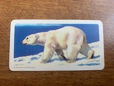 BROOKE BOND RED ROSE TEA CARDS - SERIES 2 - ANIMALS OF NORTH AMERICA