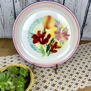 Vintage Enamelware Tray Bowl Floral Pink Rim Peacock China 14” Enamel - Picture 1 of 4