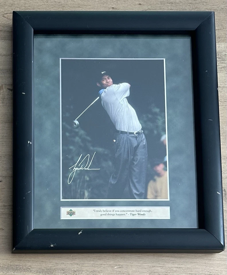 Foto en color de cubierta superior de 8x10 TIGER WOODS "Concentrado" Campeón de Maestros Foto 1 de 4
