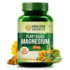 Himalayan Orgnaics Plant Based Magnesium Supplement 220mg With Turmeric Spirulin