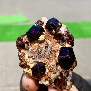 105G Natural Garnet with rock Gorgeous rough raw Crystal Mineral Specimen - Picture 1 of 24