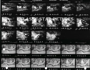 M644 Sean Young William Katt Baby: Secret of the Lost Legend 1985 8x10 filmstrip - Picture 1 of 1