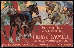 Verona Fiera dei Cavalli Codognato Jugendstil Cartolina ZG9193 - Bild 1 von 2