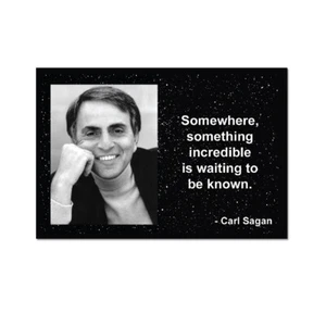 Somewhere, Something Incredible Refrigerator Magnet - [3'' x 2''] - Imagen 1 de 1