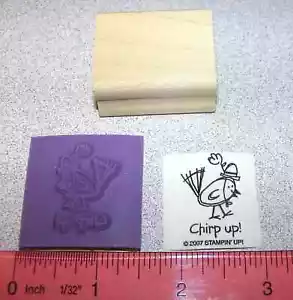 Sello de goma nuevo sin montar Bird Chirp up diciendo de muy punny envío gratuito - Imagen 1 de 2