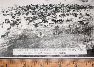 Texas Cattle Drive to Dodge City Kansas Cowboys 1878, impresión vintage del Viejo Oeste - Imagen 1 de 4