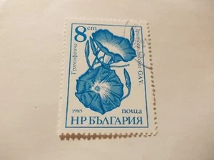 Briefmarke: Serie Pflanzen und Pilze: 8 cm, HPБbΛΓAPИЯ, 1985 - Bild 1 von 1