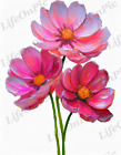 Pink Flower, Background, Digital Image Picture Photo Pic Wallpaper Art