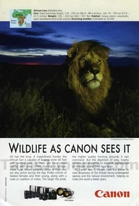Fotocamere Canon 2014 fauna selvatica leone africano foto STAMPA ANNUNCIO decorazione parete idea! (3754) - Foto 1 di 1
