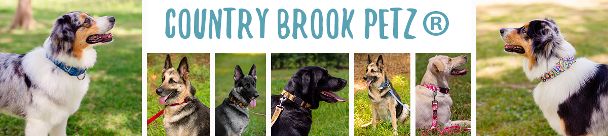 country brook petz collar