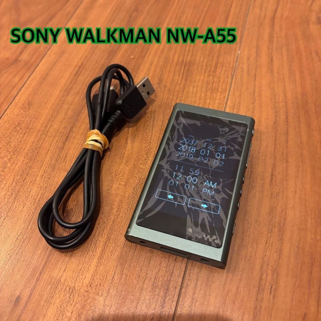 Sony NW-A55 MP3 Players for sale | eBay