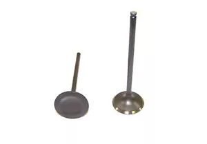 DNJ IV216 Engine Intake Valve For 02-12 Accord Civic CR-V Element RDX RSX TSX - Picture 1 of 5