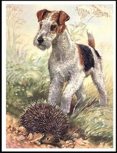 WIRE FOX TERRIER & HEDGEHOG VINTAGE STYLE DOG ART PRINT POSTER - Picture 1 of 1