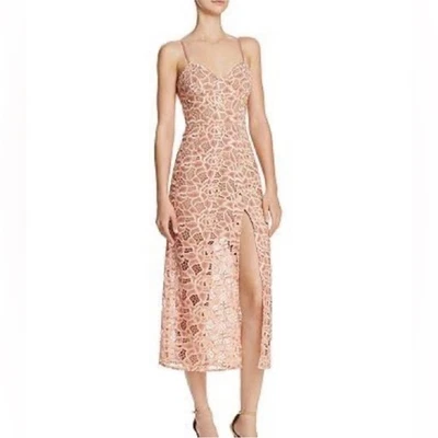 Sau Lee Celina цветочный кружева бюстье миди платье бледно-розовый размер 4 - Изображение 1 из 4
