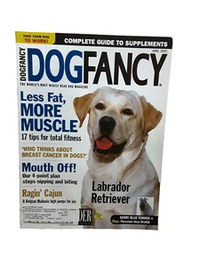 Dog Fancy Magazine June 2001 Labrador Retriever Kerry Blue Terrier Inca Orchid - Picture 1 of 1