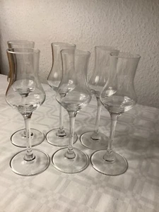 Grappagläser Grappaglas Schnapsgläser 6 Gläser Glas Rona Obstbrandglas - Bild 1 von 9