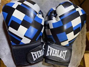 Brand New Everlast Boxing gloves 14oz